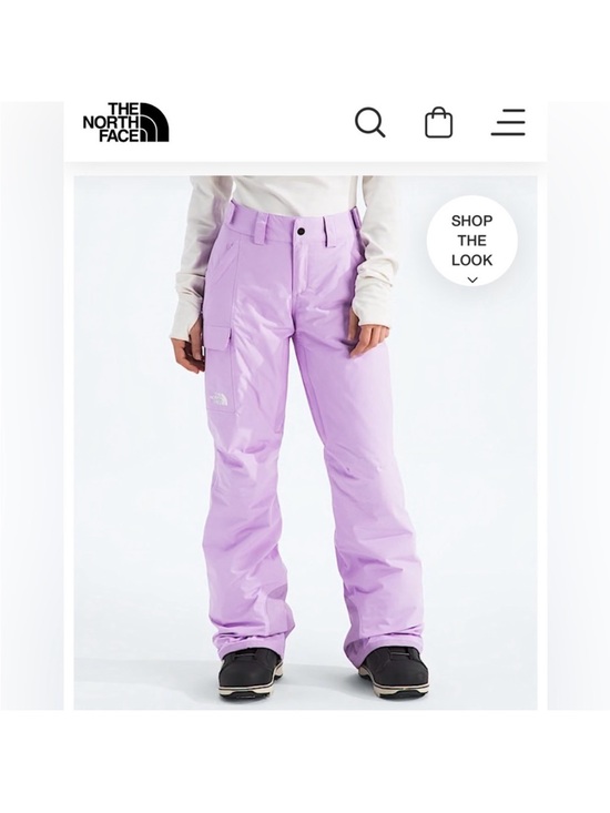 The North Face Other - The North Face Lilac Snow Pants